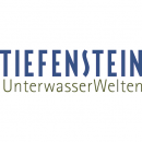 Tiefenstein UnterwasserWelten