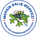 MERSİN DALIS MERKEZI