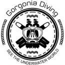 GORGONIA DIVING