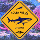 Scuba Public